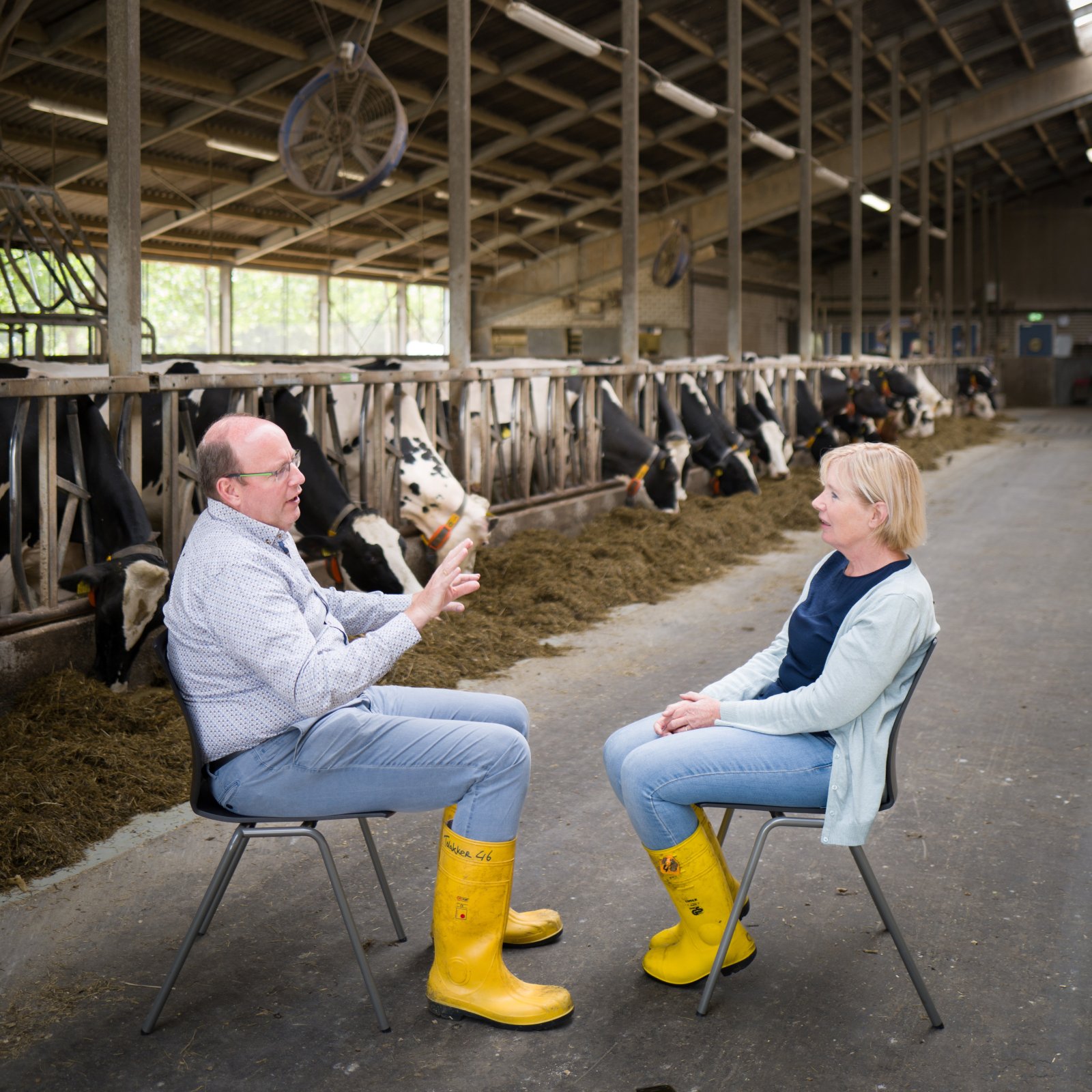 Dierwaardige veehouderij