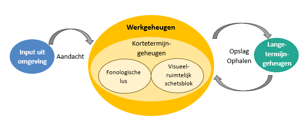 Relatie werkgeheugen - kortetermijngeheugen