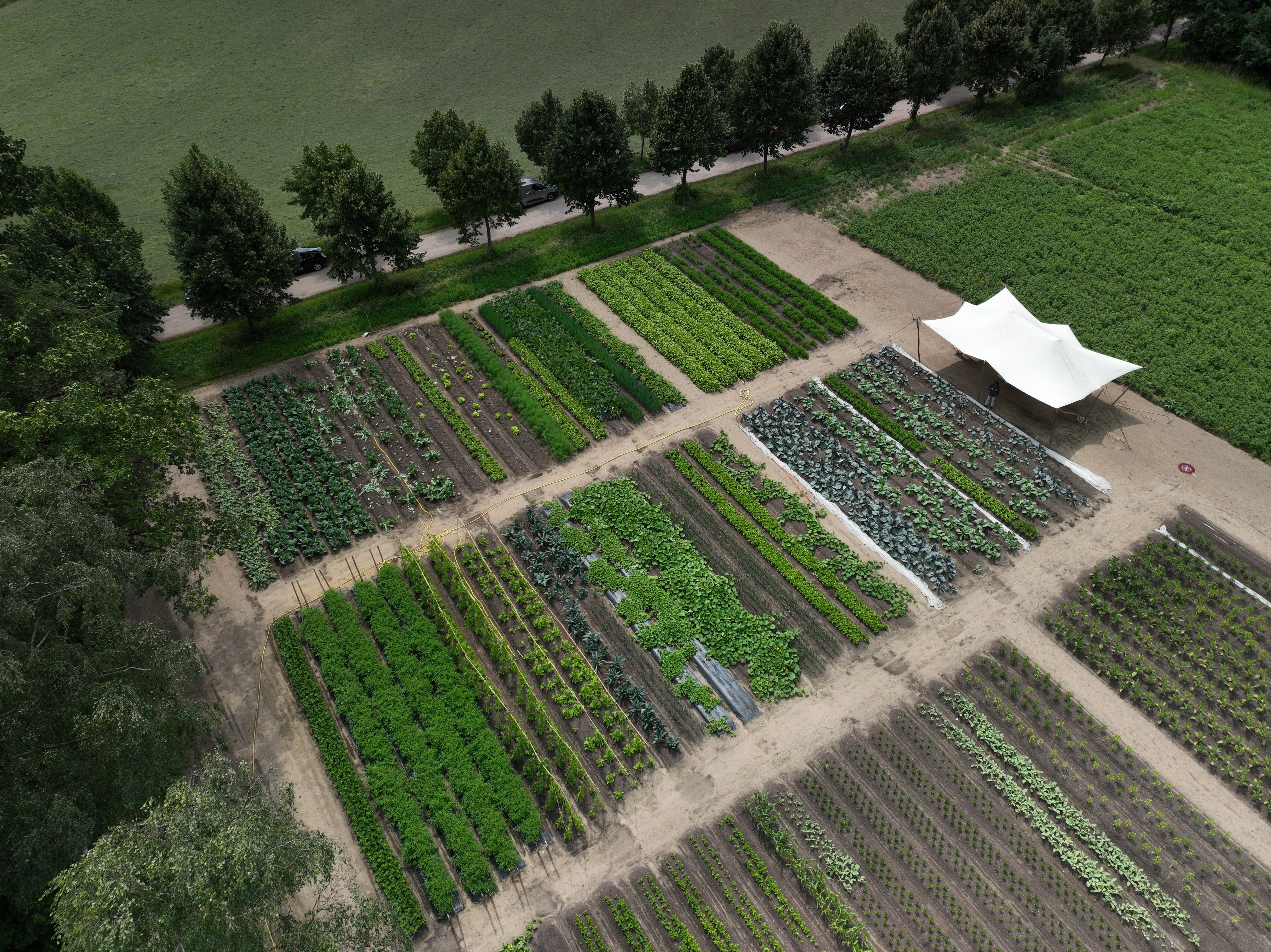 De zorgboerderij van Falco Janssen